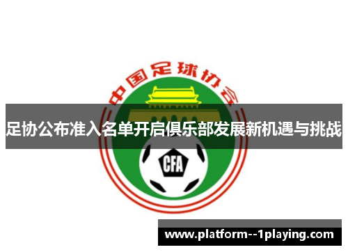 足协公布准入名单开启俱乐部发展新机遇与挑战