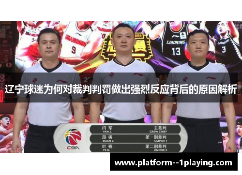 辽宁球迷为何对裁判判罚做出强烈反应背后的原因解析